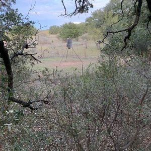 Meet your Posher, Jackson